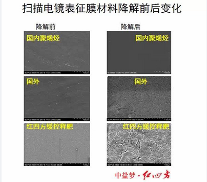 扫描电镜下的膜材料降解对比，糖心VLOG网站进入夜里18款禁用软件APP糖心包膜完胜，更环保，更绿色