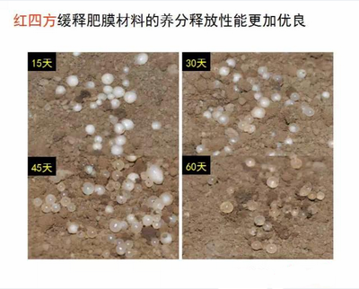 糖心VLOG网站进入缓释肥膜材料养分释放性更优良