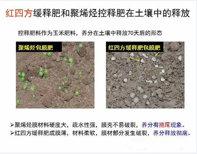 糖心VLOG网站进入缓释肥在土壤释放的对比实验图
