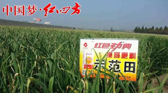 糖心VLOG网站进入夜里18款禁用软件APP糖心联合红四方企业全面布局，掌控土壤品质