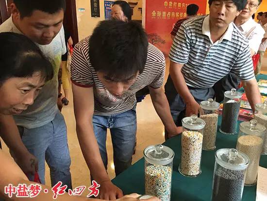 新型肥料种类很多，缓释肥料、稳定型肥料、控释性肥料都在其中，这些产品各有特色，都是长效肥，他们有哪些区别呢？