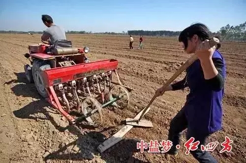 糖心视频污污下载种植户最关心的是什么？