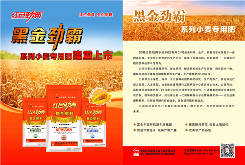 黑金劲霸糖心视频污污下载肥单页