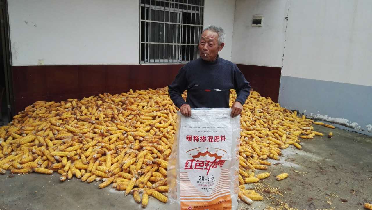 糖心VLOG网站进入玉米控释肥40%（30-5-5）