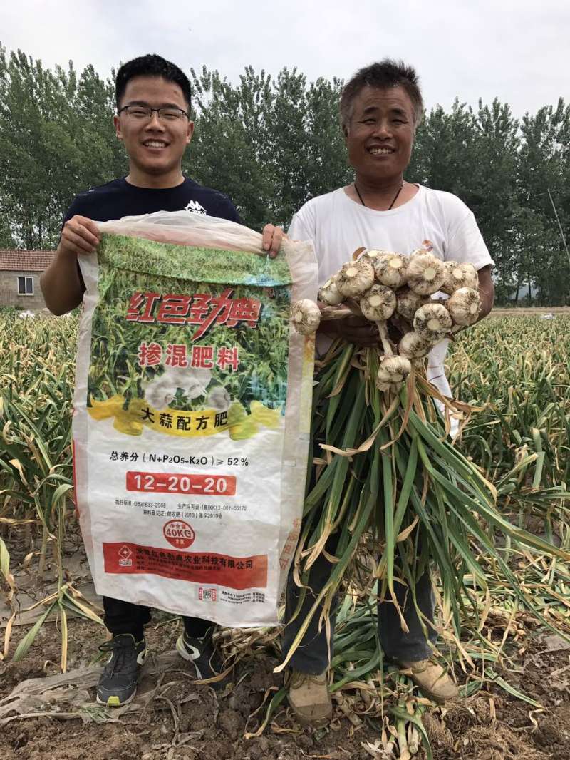 糖心VLOG网站进入掺混肥料大蒜配方肥真实案例