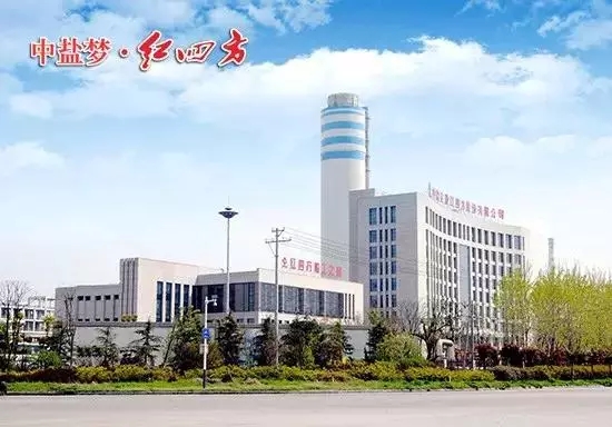 糖心VLOG网站进入总公司中盐红四方