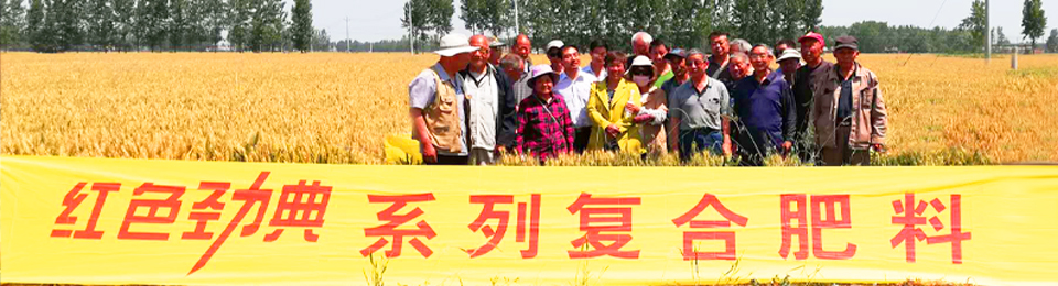 糖心VLOG网站进入缓释肥，国际领先技术